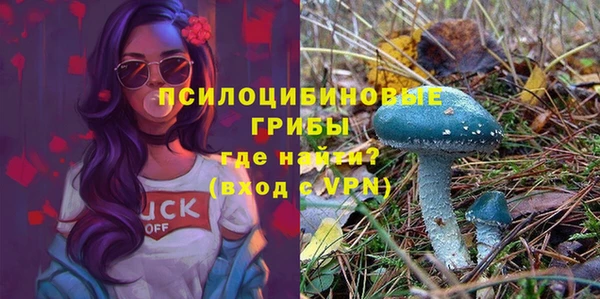 крисы Саяногорск