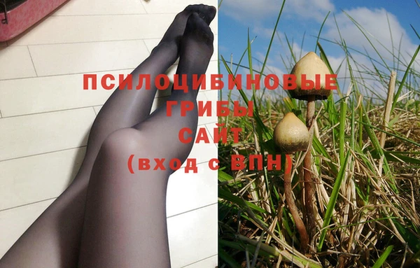 стаф Абинск