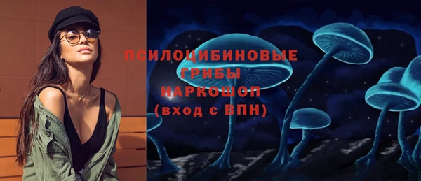 стаф Абинск