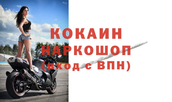 стаф Абинск