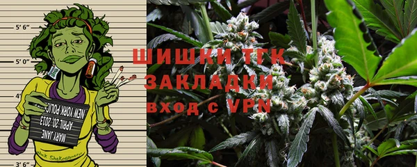 стаф Абинск