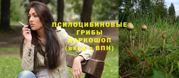 дурь Абаза