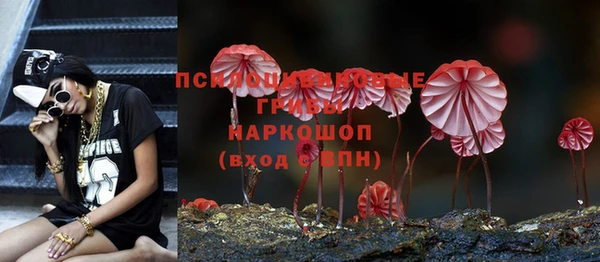 дурь Абаза