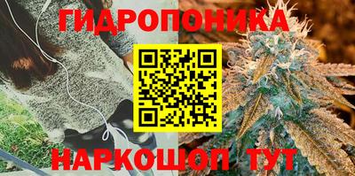 Альфа ПВП Беслан