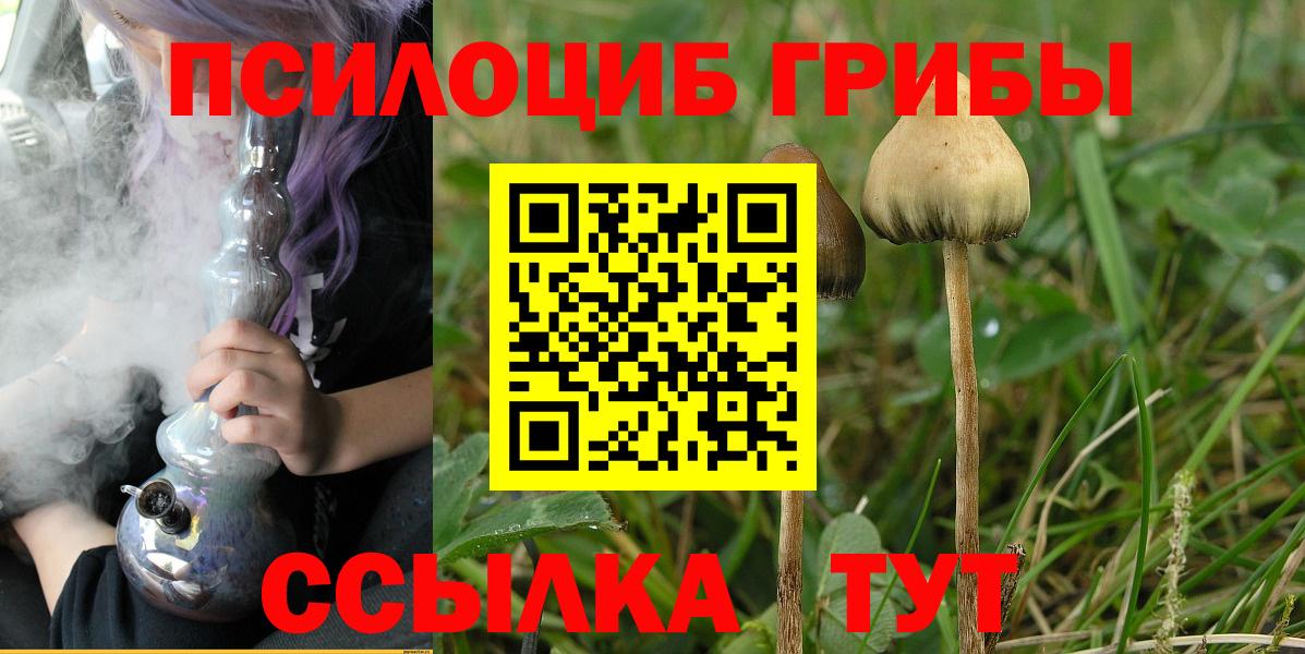 Галлюциногенные грибы ЛСД Ишимбай