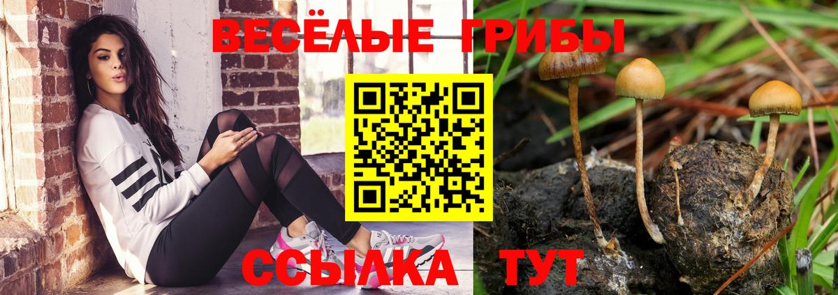 Ишимбай  купить наркоту  Вход с VPN  Псилоцибиновые грибы Cubensis 
